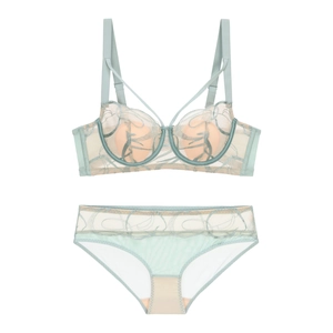 Detaillierte Stickerei auf salbeigrünem Spitzen-BH und Mesh-Slip-Set für Damen