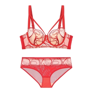 Französisches Set aus roter floraler Stickerei, Spitzen-BH und Slip mit Mesh