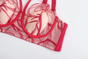 Detaillierte Nahaufnahme roter Rankenstickerei auf einem transparenten Mesh-BH