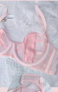 Detail of light pink lace lingerie set featuring sheer mesh cups and satin trim accents