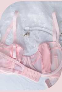 Detailed close-up of pale pink lace mesh bra with adjustable satin straps and floral texture