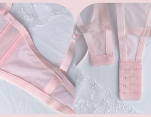 Detail of pink sheer mesh lingerie with adjustable back hook-and-eye closure system