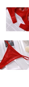 Detail view of red lace lingerie set with mesh back closure and matching thong