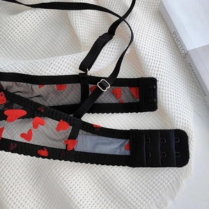 Close-up of sheer black lace bra with red heart patterns and adjustable straps