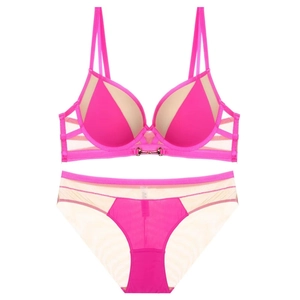 Details eines rosa-beigen Dessous-Sets mit Netzgewebe und goldener Metallschnalle