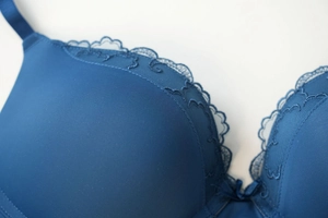 Close-up of deep blue bra featuring delicate scalloped lace embroidery and bow detail