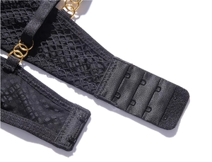 Macro shot of black mesh bra back with gold rings and triple row hook-and-eye closure