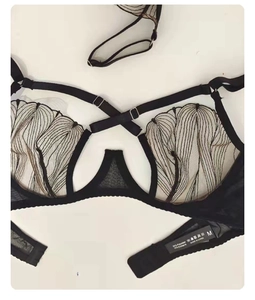 Detailed flat lay of black lace bra with sheer mesh embroidery and metal strap adjusters