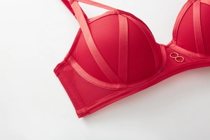 Close-up of red lace bra featuring crisscross straps and golden metal rings detail