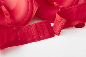 Detailed view of the red satin bra showing the three-row hook closure and gold adjustments