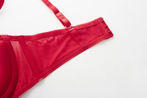 Detail of red mesh side wings and triple hook-and-eye back closure on the lace bra