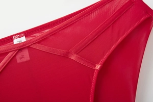 Detailed close-up of red mesh panties with cross-strap design and fine stitching details