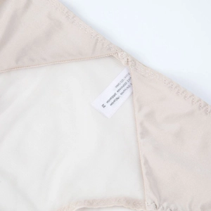 Nude sheer mesh low-waist panties for women with breathable cotton crotch detail