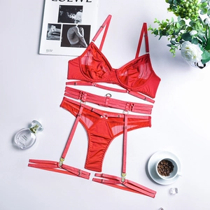 Detailed flat lay of red lace lingerie set with mesh bra and garter straps on white desk