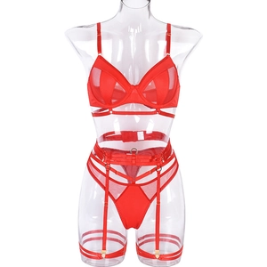 Detail showing red mesh lingerie set with lace underwire bra and strappy garter belt