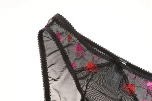 Détail de lingerie en tulle transparent avec broderies de cœurs rouges et dentelle