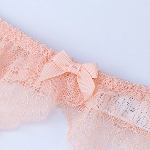Sexy nude pink lace garter belt featuring floral patterns and a ribbed ribbon bow