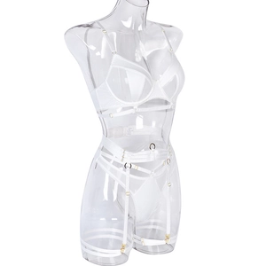 Detail of white satin lingerie set with adjustable gold hardware on sheer mesh fabric