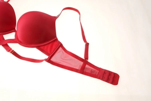 Detail of red push-up bra featuring adjustable straps with gold buckles and mesh wings