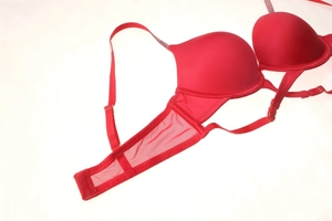 Detailed close-up of red seamless bra featuring rhinestone straps and mesh side wings