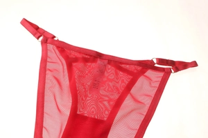 Detail of red mesh panties with gold metal adjusters and satin trim on white background