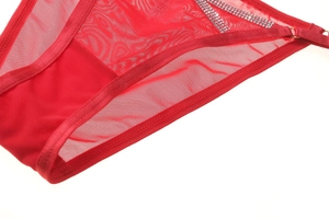 Detail of red mesh lace panties with sparkling rhinestones and delicate honeycomb fabric