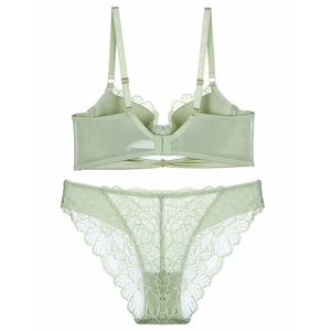 Flat lay detail of light green lace lingerie set with floral embroidery and mesh wings