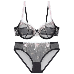 Detail of sheer black mesh lingerie set with pink floral embroidery and lace trim