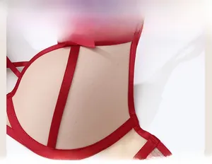 Close-up of red silk ribbon, sheer mesh texture, and delicate bow on lace bra cups