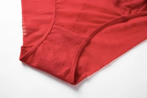 Macro shot of red mesh fabric and premium cotton lining detail on lace panties