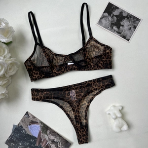 Detailed macro view of sheer leopard print mesh bra and thong with fine black straps