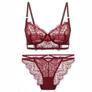 Deep burgundy lace lingerie set with floral embroidery and underwire bra on white background
