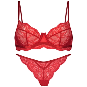 Detail of red lace lingerie set featuring delicate mesh bra and matching thong