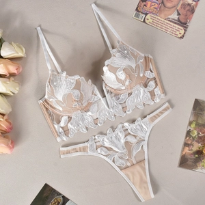 French style deep V lace lingerie set with floral embroidery and sheer mesh detail