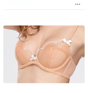 Detail of skin-toned lace bra with scalloped embroidery and mesh design for support