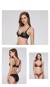 Detail of sheer lace lingerie set with bow accent and scalloped mesh embroidery