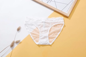 Detail of white lace embroidery and sheer mesh on low-rise cotton crotch panties