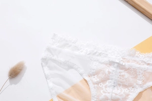 Detail of white lace panties with floral embroidery and a small bow on soft mesh fabric