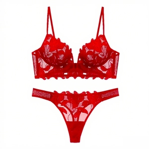Close-up of red floral lace embroidery and sheer mesh on sexy French style V-neck bra set