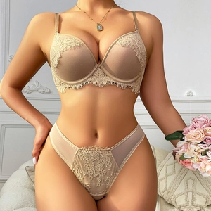 Women Sexy Lace Lingerie Set Nylon Push Up Bra And Panties Top And Bottom Embroidery Mesh Underwear Lingerie Set