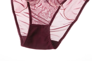 Detailed macro view of sheer burgundy lace underwear with reinforced cotton lining detail