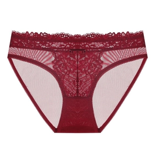 French Sexy Lace Panties Embroidery Bow Ultra-Thin Women Low Waist Mesh Briefs Transparent Lingerie Cotton Crotch Bottoms