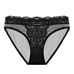 French style sexy black lace panties with floral embroidery and mesh details for women