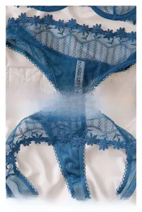 Détails de broderie en dentelle bleue et gousset en coton sur lingerie sexy