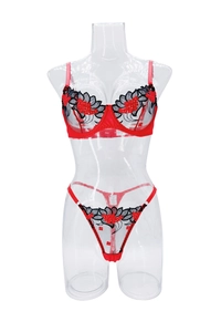 Detail of red floral embroidery on sheer mesh lingerie set with underwire cups