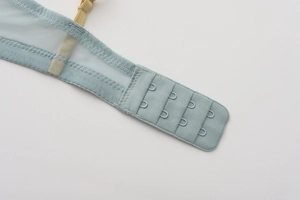 Detail of light blue bra showing three-row four-column hook closure and mesh band
