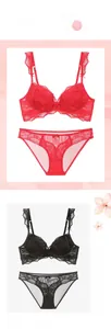 Vue détaillée de l'ensemble de lingerie en dentelle avec broderie florale et tulle délicat