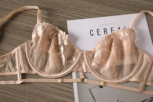 Détails de broderie en dentelle florale et mesh transparent sur le soutien-gorge