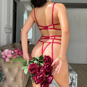 Sexy red embroidered lace lingerie set with adjustable straps and garter belt for women