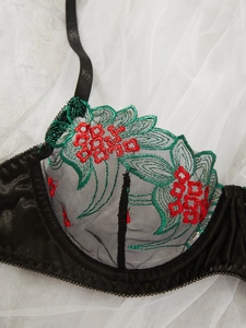 Close-up of intricate red flower embroidery and green leaf detail on sheer black mesh bra